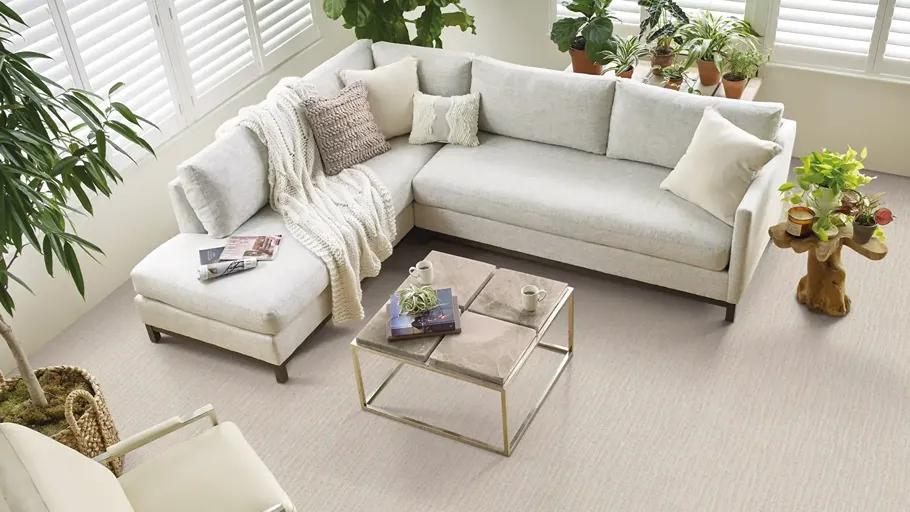 Beige carpet sectional in living room with ornamental plants 